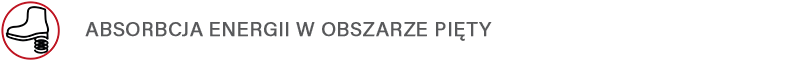 ABSORBCJA ENERGII W OBSZARZE PIĘTY